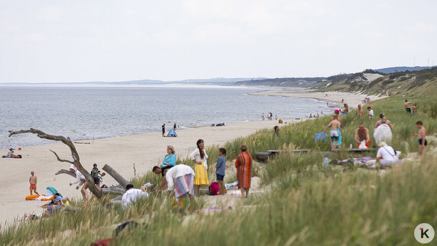 Научная экспертиза проекта «стены смерти» на Куршской косе должна быть готова к декабрю   - Новости Калининграда | Фото: Александр Подгорчук / Архив «Клопс»