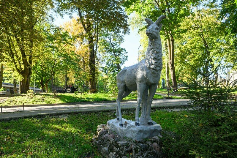 Часть Южного парка благоустроили, другая часть ждёт своего часа | Фото: Александр Мелехов