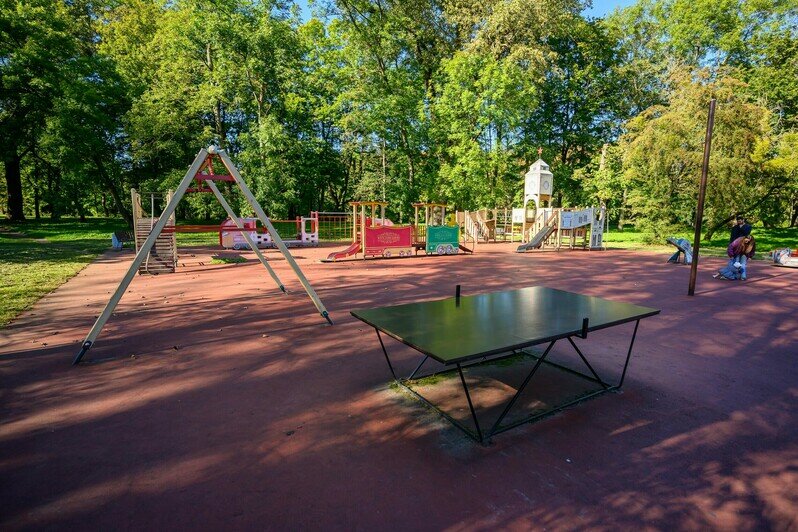 Часть Южного парка благоустроили, другая часть ждёт своего часа | Фото: Александр Мелехов