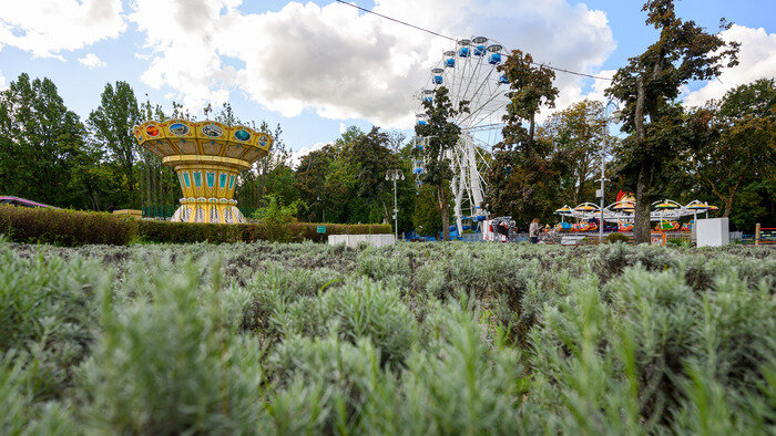 Колесо обозрения в парке даёт возможность посмотреть на центр Калининграда с высоты.  | Фото: Александр Мелехов