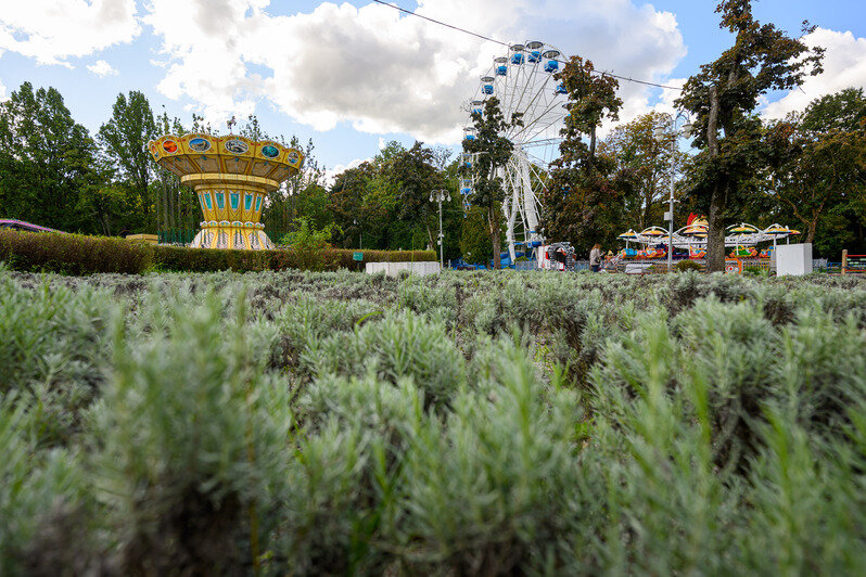 Летнюю сцену ремонтируют. Здесь проходит немало городских культурных событий	 | Фото: Александр Мелехов