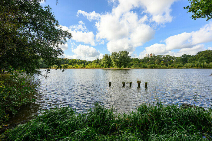 Озеро Лесное собираются почистить. Всего на этой территории четыре водоёма. | Фото: Александр Мелехов