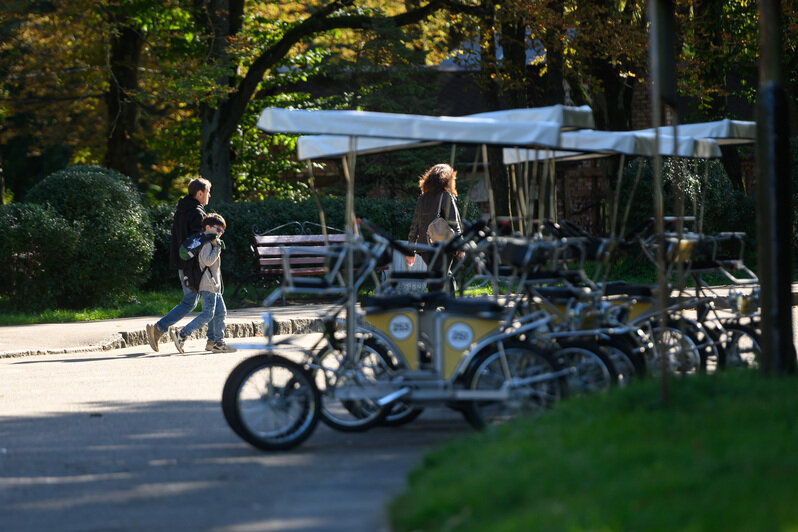 Часть Южного парка благоустроили, другая часть ждёт своего часа | Фото: Александр Мелехов