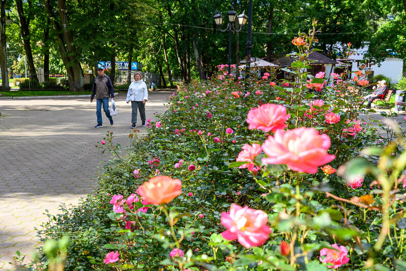 Летнюю сцену ремонтируют. Здесь проходит немало городских культурных событий	 | Фото: Александр Мелехов