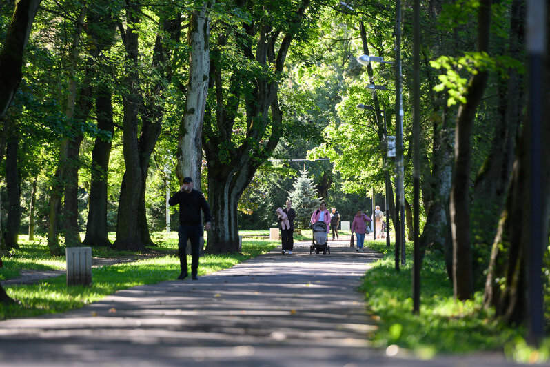 Часть Южного парка благоустроили, другая часть ждёт своего часа | Фото: Александр Мелехов