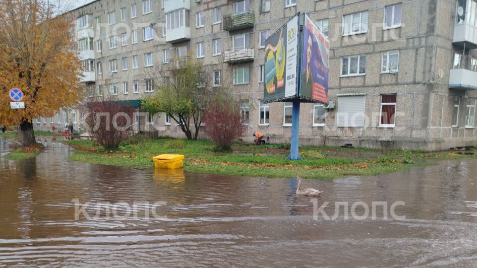 Прошедший шторм оставил жителей Немана с затопленными улицами, по которым теперь плавают лебеди (фото) - Новости Калининграда | Фото: очевидец 