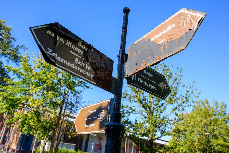 Часть Южного парка благоустроили, другая часть ждёт своего часа | Фото: Александр Мелехов