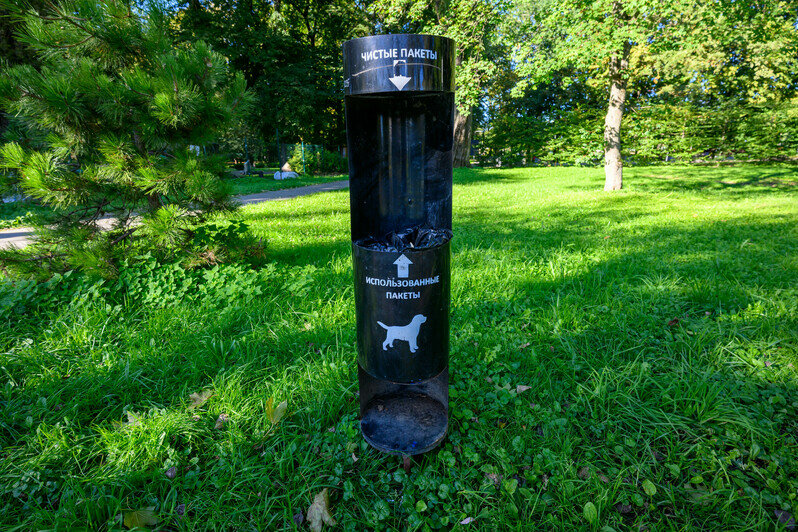 Часть Южного парка благоустроили, другая часть ждёт своего часа | Фото: Александр Мелехов