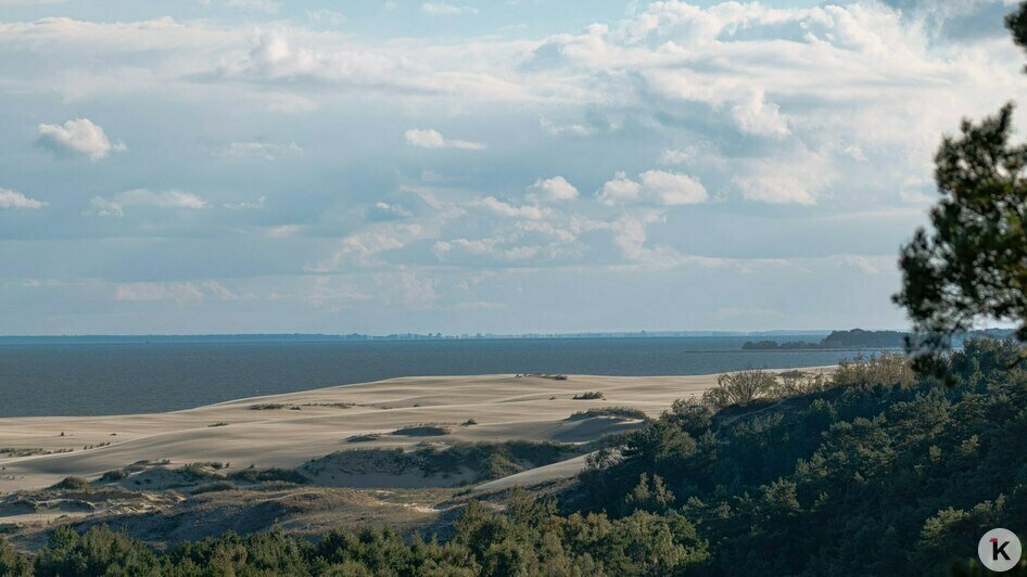 А вот к этому кулику пришлось незаметно подползать по песку | Фото: Ольга Музюкина