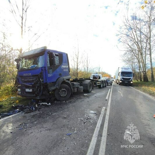 Водителя машины, столкнувшейся под Балтийском с грузовиком, из салона доставали спасатели (фото) - Новости Калининграда | Фото: МЧС региона