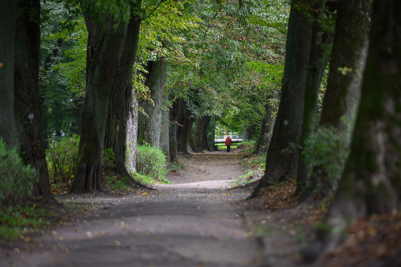 Парки Калининграда: с историей, но сложными перспективами