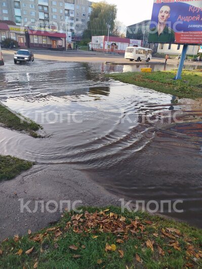 Прошедший шторм оставил жителей Немана с затопленными улицами, по которым теперь плавают лебеди (фото) - Новости Калининграда | Фото: очевидец 