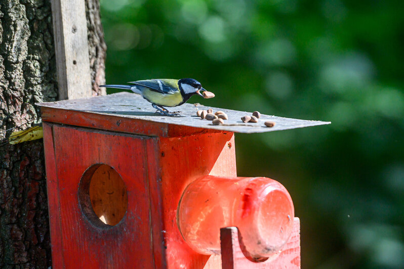 Для детей организована площадка | Фото: Александр Мелехов