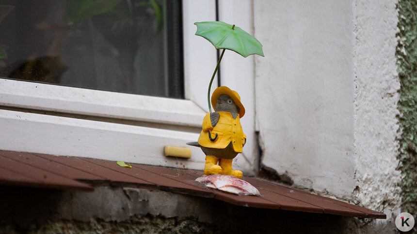 Погода в Калининграде и области в воскресенье, 2 ноября - Новости Калининграда | Фото: Александр Подгорчук / «Клопс»