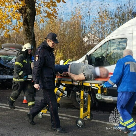 Водителя машины, столкнувшейся под Балтийском с грузовиком, из салона доставали спасатели (фото) - Новости Калининграда | Фото: МЧС региона