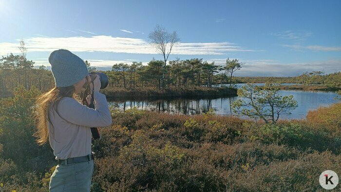 Потрогать зимородка: калининградский фотограф рассказала, как «охотится» за птицами (фото)   - Новости Калининграда | Фото: архив героини материала