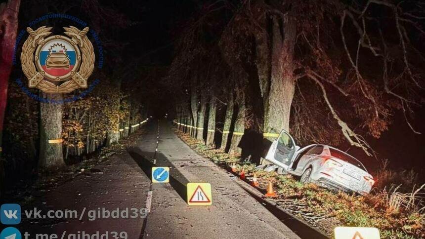 Под Багратионовском водитель легковушки врезался в придорожное дерево   - Новости Калининграда | Фото: Госавтоинспекция Калининградской области
