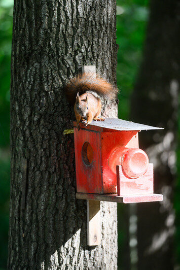 Для детей организована площадка | Фото: Александр Мелехов