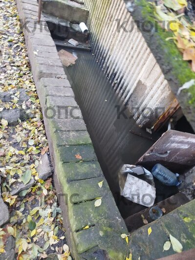 Прошедший шторм оставил жителей Немана с затопленными улицами, по которым теперь плавают лебеди (фото) - Новости Калининграда | Фото: очевидец 