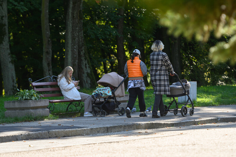 Часть Южного парка благоустроили, другая часть ждёт своего часа | Фото: Александр Мелехов