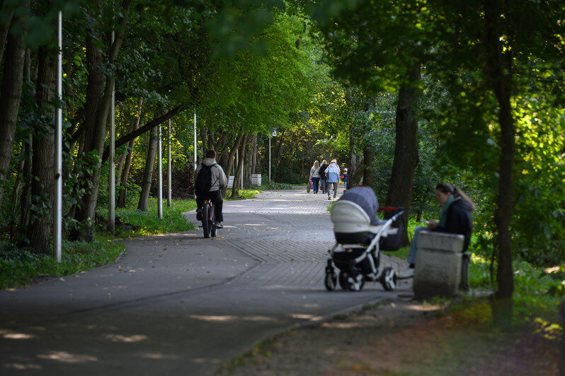 Часть Южного парка благоустроили, другая часть ждёт своего часа | Фото: Александр Мелехов