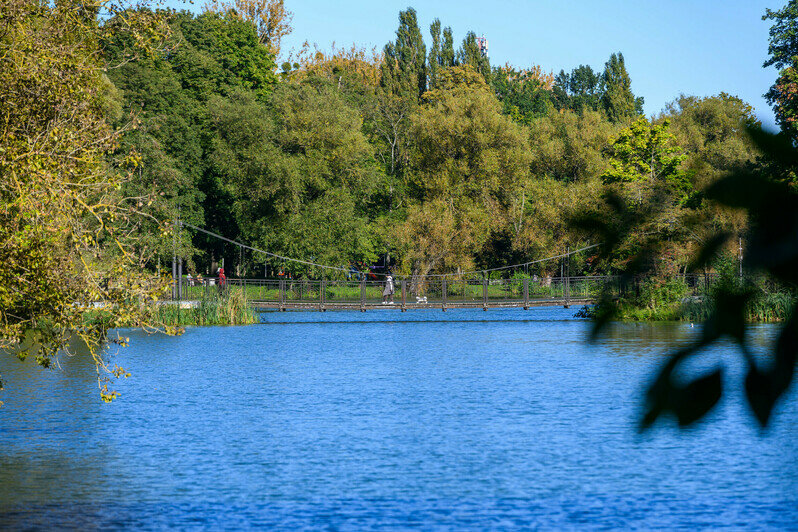 Часть Южного парка благоустроили, другая часть ждёт своего часа | Фото: Александр Мелехов