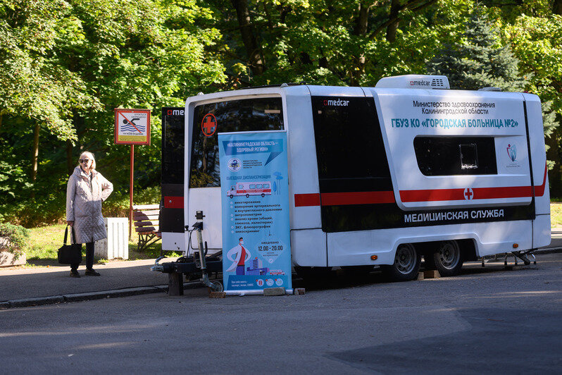 Часть Южного парка благоустроили, другая часть ждёт своего часа | Фото: Александр Мелехов