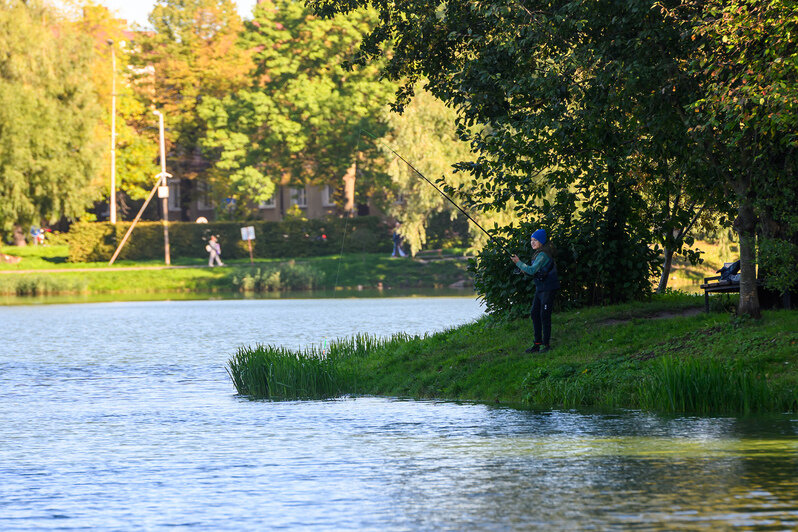 Часть Южного парка благоустроили, другая часть ждёт своего часа | Фото: Александр Мелехов