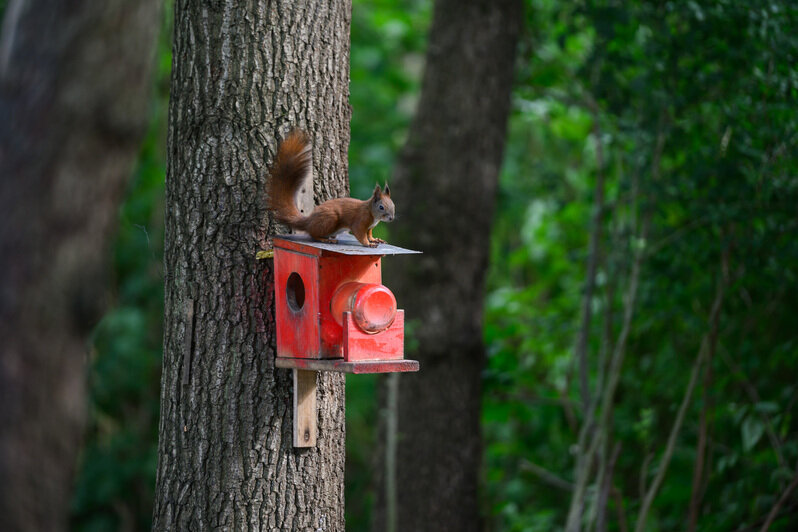 Для детей организована площадка | Фото: Александр Мелехов