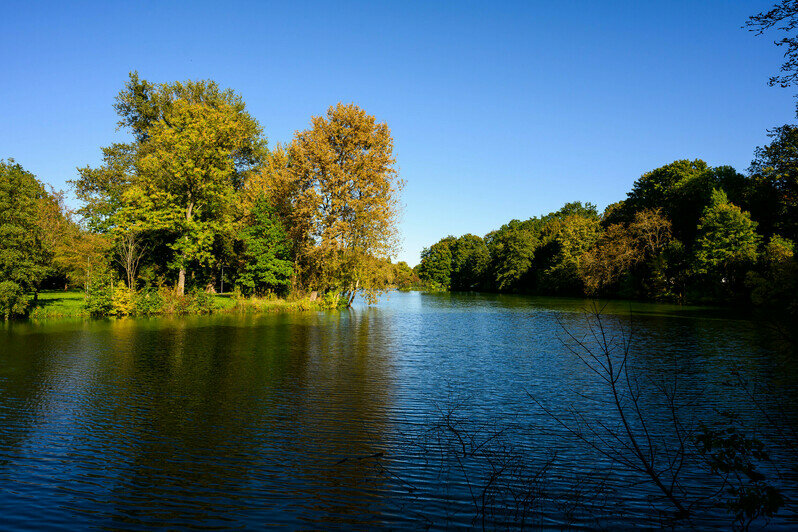 Часть Южного парка благоустроили, другая часть ждёт своего часа | Фото: Александр Мелехов