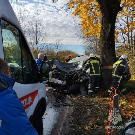 Водителя машины, столкнувшейся под Балтийском с грузовиком, из салона доставали спасатели (фото) - Новости Калининграда | Фото: МЧС региона