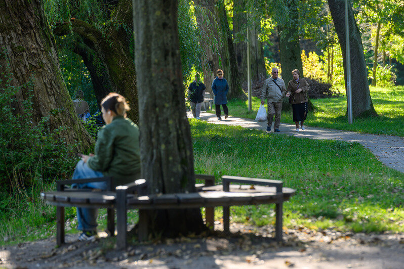 Часть Южного парка благоустроили, другая часть ждёт своего часа | Фото: Александр Мелехов