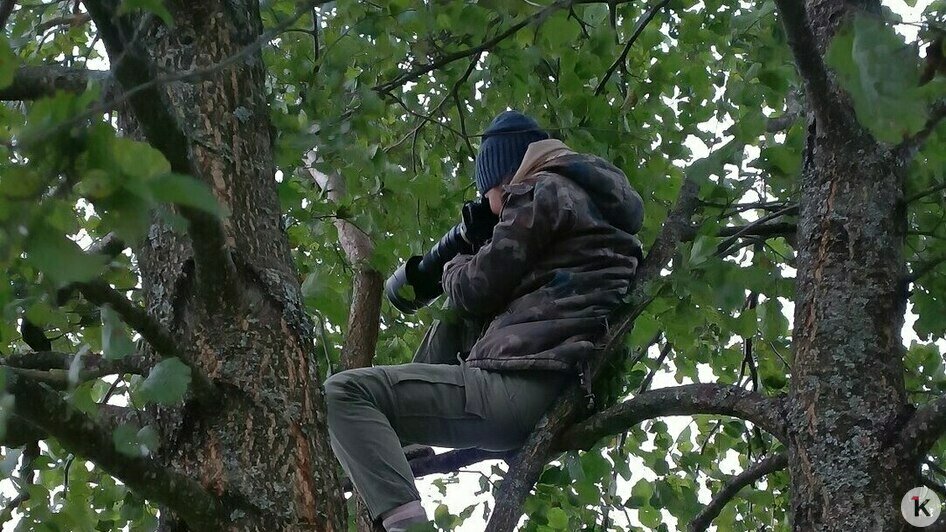 Потрогать зимородка: калининградский фотограф рассказала, как «охотится» за птицами (фото)   - Новости Калининграда | Фото: личный архив героини