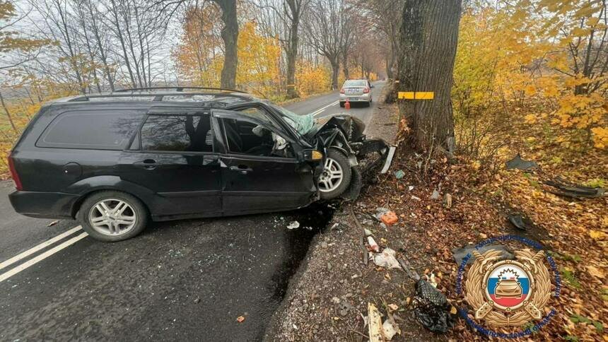 В Багратионовском районе женщина на универсале Ford врезалась в придорожное дерево   - Новости Калининграда | Фото: Госавтоинспекция Калининградской области