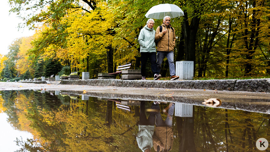 Синоптики рассказали, будет ли дождь в Калининграде и области в понедельник, 3 ноября   - Новости Калининграда | Фото: Александр Подгорчук / Архив «Клопс»