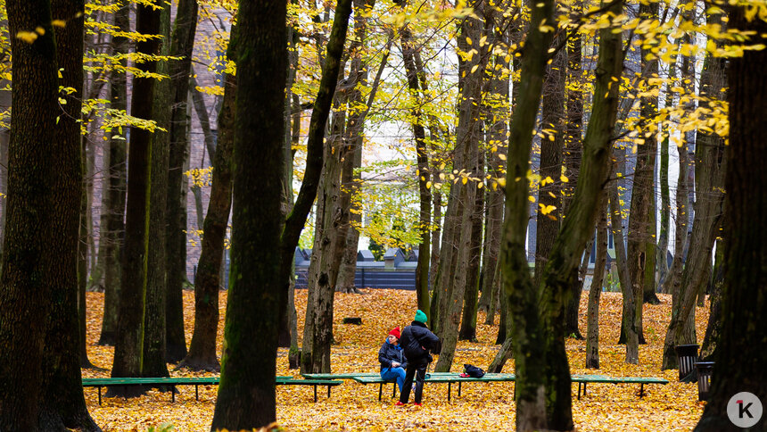 Погода в Калининграде и области в воскресенье - Новости Калининграда | Фото: Александр Подгорчук / «Клопс»