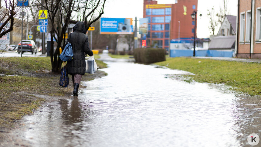 Денег нет, но магистраль нужная: мэрия — о перспективах расширения Советского проспекта - Новости Калининграда | Фото: Александр Подгорчук / Архив «Клопс»