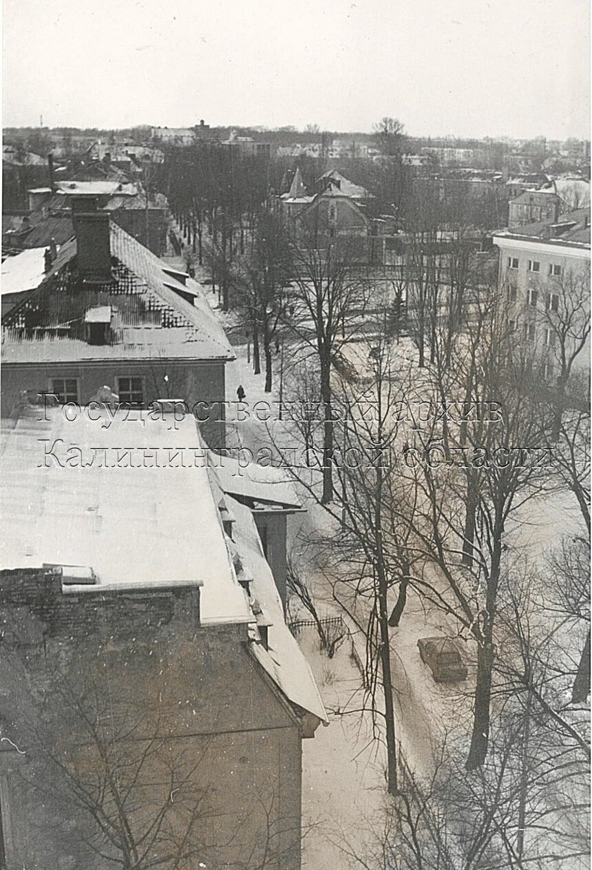  В госархиве показали, как выглядел вид на улицу Чайковского во второй половине 1980-х - Новости Калининграда | Фото: госархив 