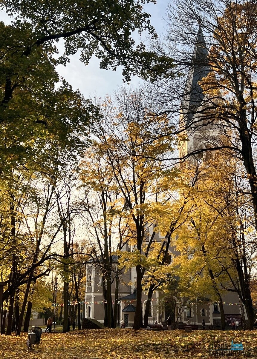 В Калининграде - золотая осень | Фото: Оксана Сазонова