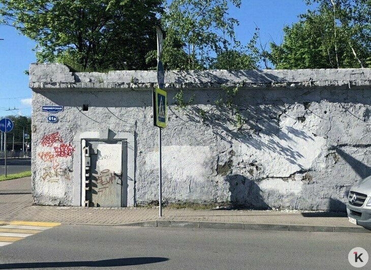 Так выглядела стена до 2021 года | Фото: Грачик и Маргарита Гущян