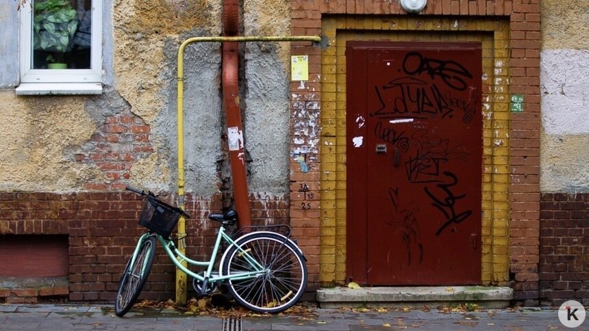 Погода в Калининграде и области во вторник - Новости Калининграда | Фото: Александр Подгорчук / «Клопс»