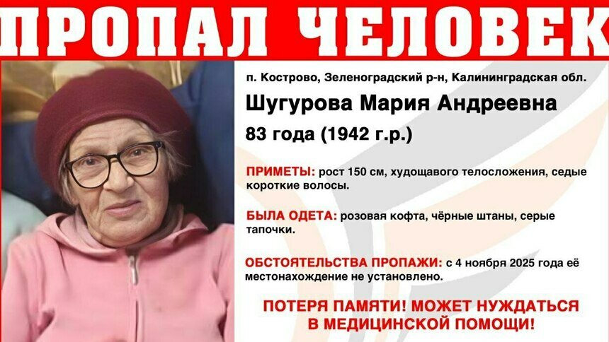 В Зеленоградском районе ищут невысокую пенсионерку в розовой кофте - Новости Калининграда | Фото: ПСО «Запад»