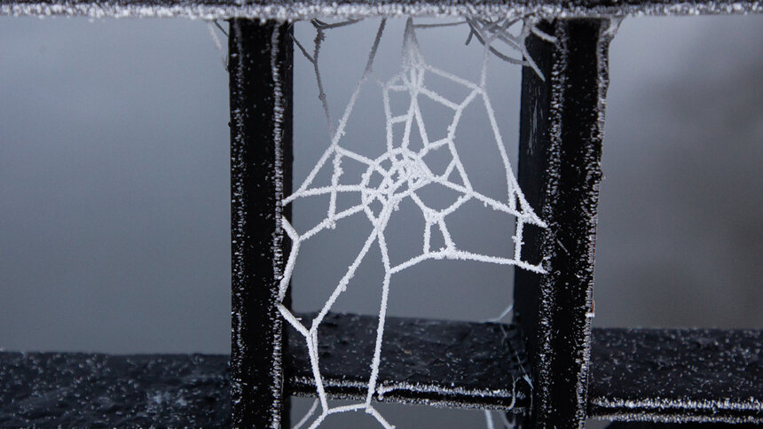 Синоптики рассказали, когда Калининградскую область окутает паутина холодов - Новости Калининграда | Фото: Александр Подгорчук / Архив «Клопс»