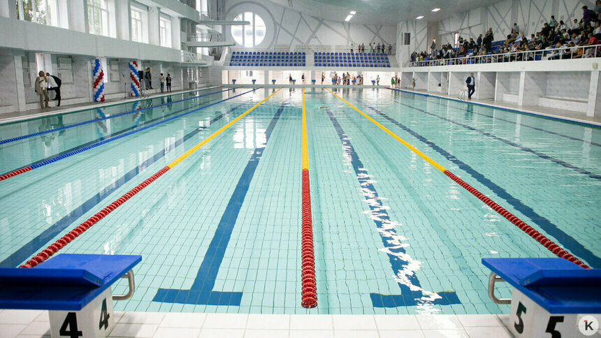 Россияне смогут с 2026 года выступать на чемпионатах Европы по водным видам спорта - Новости Калининграда | Фото: Александр Подгорчук / Архив «Клопс»