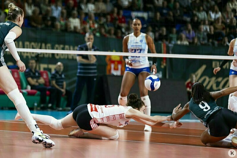 Избитая в машине девушка и смертельные ДТП: 14 событий, которые калининградцы обсуждали в длинные выходные   - Новости Калининграда | Фото: Александр Подгорчук / «Клопс»