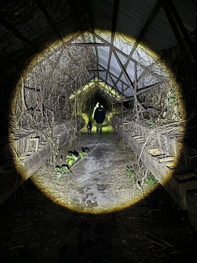 Найти пропавшую в Кострово старушку помог след от тапочек   - Новости Калининграда | Фото: «Клопс»