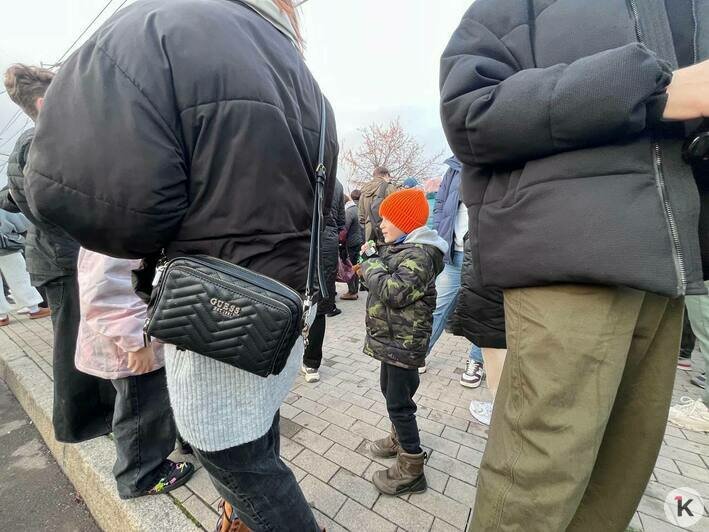 В Калининграде устроили юбилейный рейс троллейбуса, но кататься пришлось в битком набитом душном салоне (фото) - Новости Калининграда | Фото: Александр Подгорчук / «Клопс»