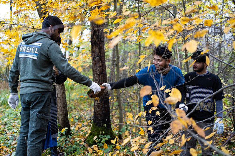 Студенты-иностранцы выучили слово «волонтёр» и помогли собакам из приюта в Талпаках (фоторепортаж)  - Новости Калининграда | Фото: Александр Подгорчук / «Клопс»