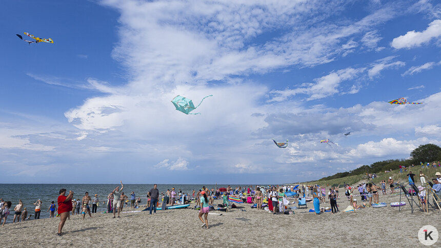 «К счастью, в этом году была сырая погода»: директор «Куршской косы» — о том, какой туризм развивают в нацпарке    - Новости Калининграда | Фото: Александр Подгорчук / Архив «Клопс»