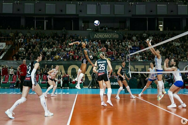 Избитая в машине девушка и смертельные ДТП: 14 событий, которые калининградцы обсуждали в длинные выходные   - Новости Калининграда | Фото: Александр Подгорчук / «Клопс»